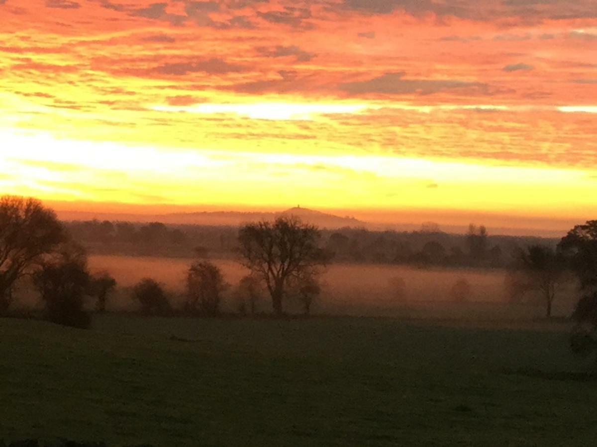 Wedmore Castle Farm B&B 외부 사진