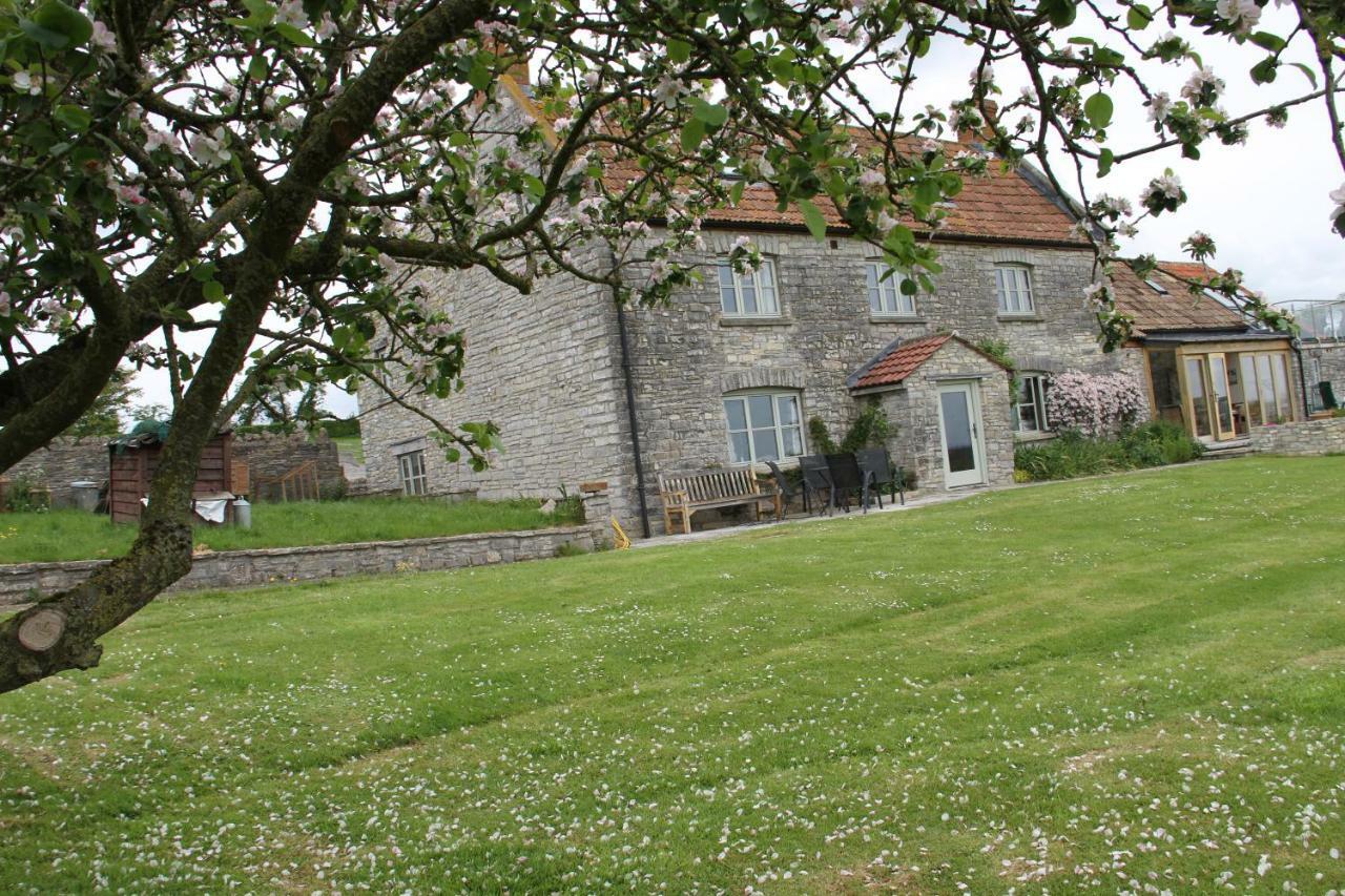 Wedmore Castle Farm B&B 외부 사진