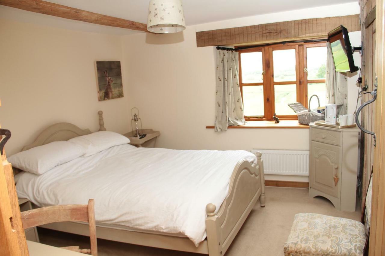 Wedmore Castle Farm B&B 외부 사진